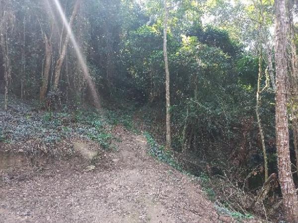 Terreno - Venda, PIRATININGA, NITEROI, RJ