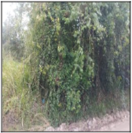 Terreno - Venda, AGRO BRASIL (SAMBAETIBA), ITABORAI, RJ