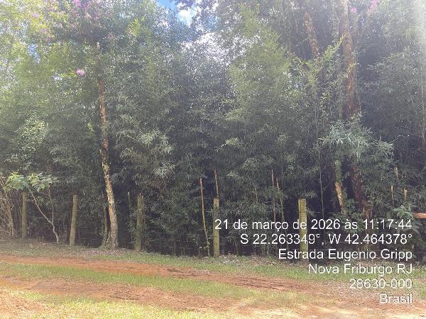 Terreno - Venda, AMPARO, NOVA FRIBURGO, RJ