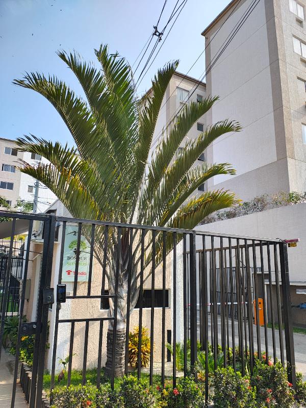 Apartamento - Venda, SAO GONCALO, RJ